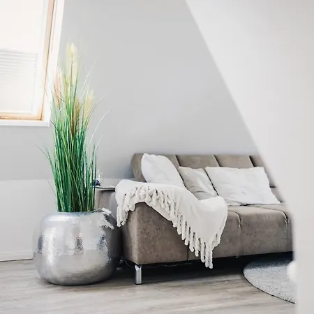 Schwalbennest זינקסט